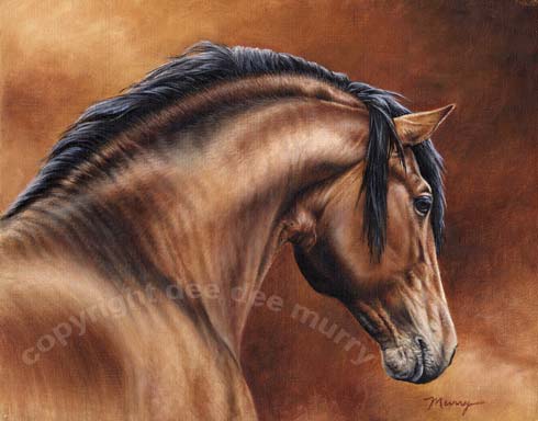 Andalusian Horse Art