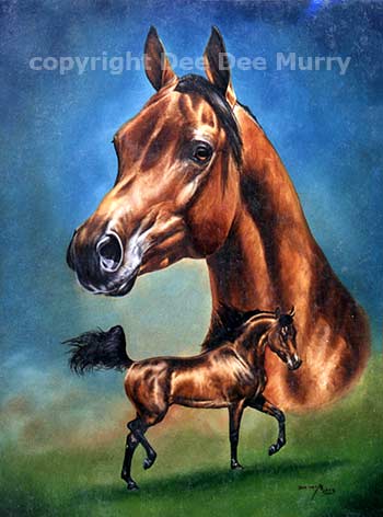 Arabian Horse Portrait