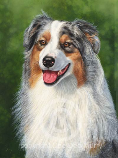 Australian Shepherd Dog Art