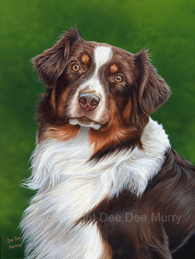 Australian Shepherd Dog Art