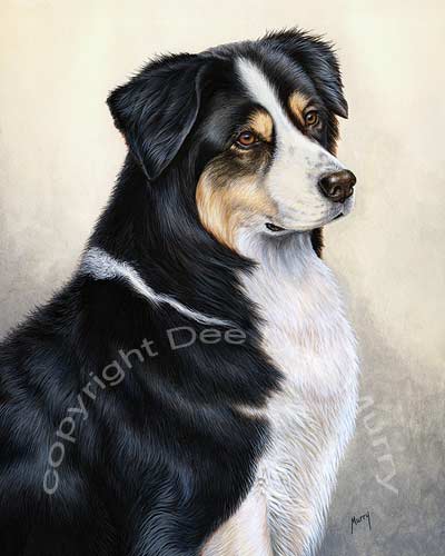 Australian Shepherd Dog Art
