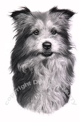 Dog Art