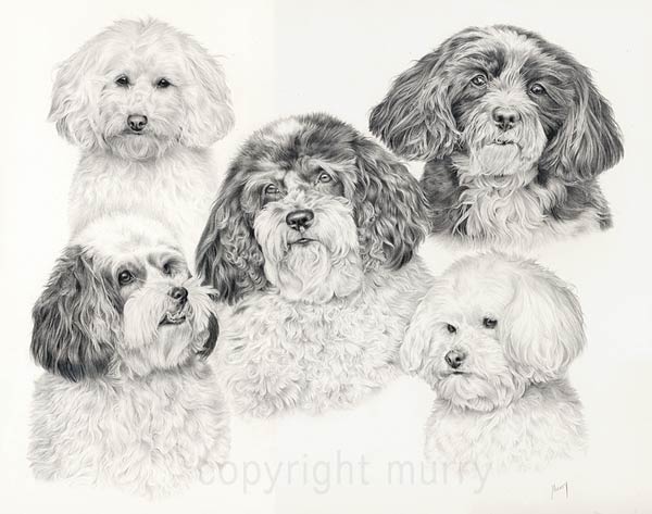 Shih Tzu Dog Art