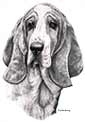Basset Hound Dog Art